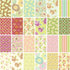 Freshcut Charm Pack (30 Pieces) by Heather Bailey for FreeSpirit 6 x 6 inches (15.2 cm x 15.2 cm cm) Fabric Squares...
