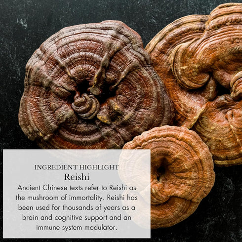 Anima Mundi Apothecary Adaptogenic 7 Mushroom Drops - with Organic Mushroom Extracts - Liquid Immune Support Tincture with Reishi, Lion's Mane, Co...