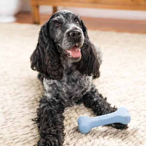Harry Barker Rubber Balls and Rubber Chew Stick, Rubber Bone for Dogs - Medium Bone...