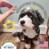 Freeze Dried Lamb Heart Dog Treats Made in USA. All Natural Freeze-Dried Raw Snacks for Dogs and Cats. Single Ingredient. High Protein. Heart Heal...