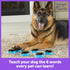 Hunger For Words Talking Pet Essential Words - 6 Piece Set Pre-Recorded Speech Buttons for Dogs, Dog Buttons for Communication...