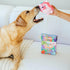 Outward Hound Surprise Hedgies Dog Toys - Unbox and Surprise! Collect all 3 Grunting Hedgies Dog Toys!...