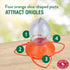 Perky-Pet Opus Plus 32-ounce Plastic 449-2 Oriole Feeder...