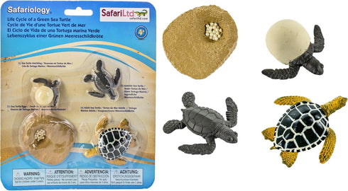 Safari Ltd. Life Cycle of a Green Sea Turtle - Educational Toy Figurines - Miniature Turtle Lifecycle Collection for Boys, Girls & Kids Age 4+...