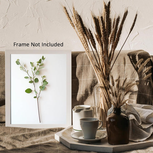 Posterizer 1 pcs-plant leaves-Chic Dainty art for plant lovers 4-Floral & Botanical Art-Workplace & Office Art-Living Room Bedroom Decor- unframed...