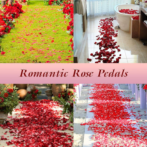 3000 Pcs Silk Rose Petals,Red Rose Flower Petals Decorations, Fake Rose Petals Roses Artificial Flowers Petals for Wedding, Valentines , Romantic ...