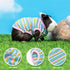 Guinea Pig Clothes - 2 Pack Cute Small Animal Vest Clothes for Rat Rabbit Chinchila ferret Kitten Chihuahua MiniDogs - Soft Breathable T-Shirt Pet...
