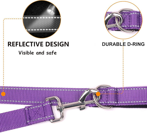 Double-Sided Reflective Dog Leash for Large & Medium and Small Dogs, Strong and Durable Pet Nylon Leashes with Soft Padded Handle Leashes,Puppy Le...