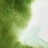 Winsor & Newton Professional Water Colour Paint, 1.25-oz Tube, Permanent Sap Green...