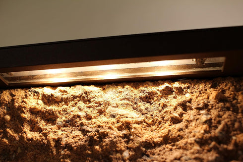 AL6 Hardscape Paver Wall Light...