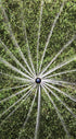 Rain Bird 12SAFPROPR Pressure Regulating (PRS) High-Efficiency Pro Rotary Sprinkler, 360° Full Pattern, 13' - 18' Spray Distance, 4" Pop-up Height...
