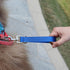 Traffic Dog Leash Dog Training Leash Pet Dog Traffic Grab Handle Dog Grab Tab Training Tab (green & blue)...