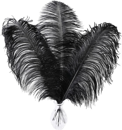 Larryhot Black Ostrich Feathers Bulk - 16-18 inch 10pcs Feathers for Vase,Wedding Party Centerpieces and Home Decorations (Black)...