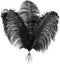 Larryhot Black Ostrich Feathers Bulk - 16-18 inch 10pcs Feathers for Vase,Wedding Party Centerpieces and Home Decorations (Black)...
