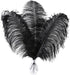Larryhot Black Ostrich Feathers Bulk - 16-18 inch 10pcs Feathers for Vase,Wedding Party Centerpieces and Home Decorations (Black)...