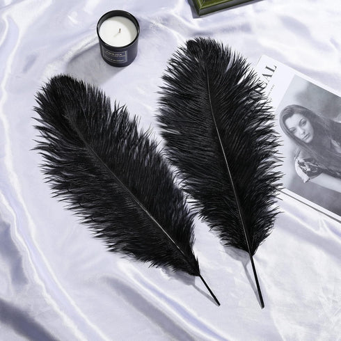 Larryhot Black Ostrich Feathers Bulk - 16-18 inch 10pcs Feathers for Vase,Wedding Party Centerpieces and Home Decorations (Black)...