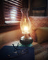 Lamplight ¼ Gallon (32 oz) Ultra-Pure Lamp Oil Green - Liquid Paraffin Oil for Indoor use, sootless, smokeless and odorless, Emergency kit Green...