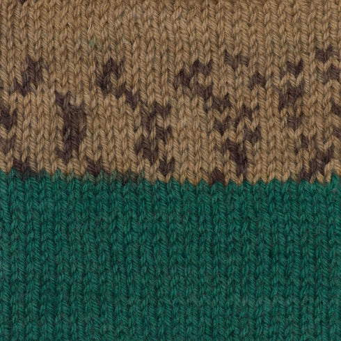 Patons Kroy Socks Yarn - (1) Gauge - 1.75 oz - Woodsie Woodsie - For Crochet, Knitting & Crafting......