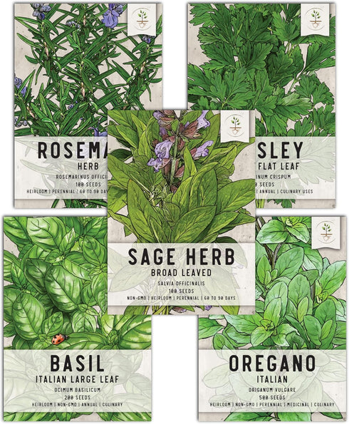 Seed Needs, Italian Herb Seed Packet Collection (5 Individual Seed Varieties for Planting) Non-GMO & Untreated - Oregano, Basil, Rosemary, Sage an...