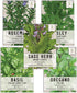 Seed Needs, Italian Herb Seed Packet Collection (5 Individual Seed Varieties for Planting) Non-GMO & Untreated - Oregano, Basil, Rosemary, Sage an...