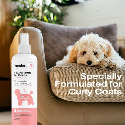 Deodorizing Between-Bath Dog Odor Neutralizer (Curly Coats, 8 Oz)...
