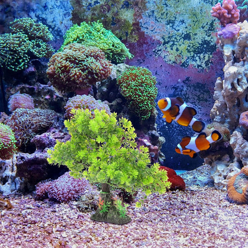 POPETPOP Artificial Aquarium Plant Plastic Water Plant Tree Fish Tank Bonsai Ornament Fish Tank Hideout Sushi Plate Decor for Aquarium Terrarium L...