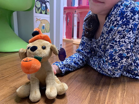 Plushland Halloween Pawpals 8 inches Puppy Dog Plush Stuffed Toy Comes with Hat and Halloween Jack O Lantern - Pumpkin for Kids on This Holiday (L...