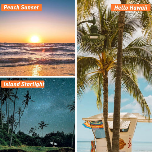 Fragrance Oil, ESSLUX Hawaii Scented Oils Set, Essential Candle Scents for Candle Making, Soap Making, Diffuser Oil Fresh Scents, Ocean Breeze, Be...