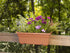 Novelty 16195, Terracotta, Countryside Flower Box Planter, 18-Inch...