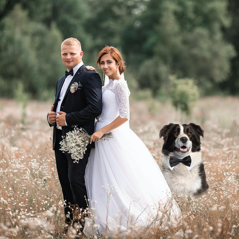 Bow Tie for Dogs, KOOLMOX Dog Bow Tie, Handcrafted Black Dog Bowtie with 21'' Adjustable Dog Collar Tux White Dog Collar for Large Dogs Wedding At...