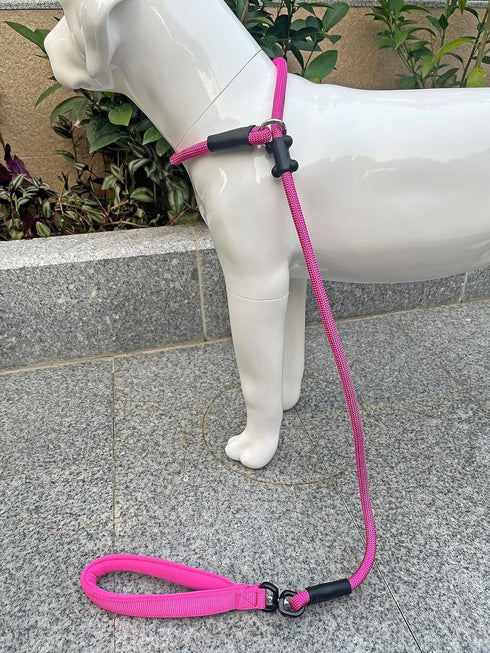 Slip Lead Dog Leash?Strong Nylon Rope Leash Anti-Choking Anti-Pull and Outdoor Walking Training Lead for Small Medium Large Dogs (Fuchsia,1/2"×4ft...