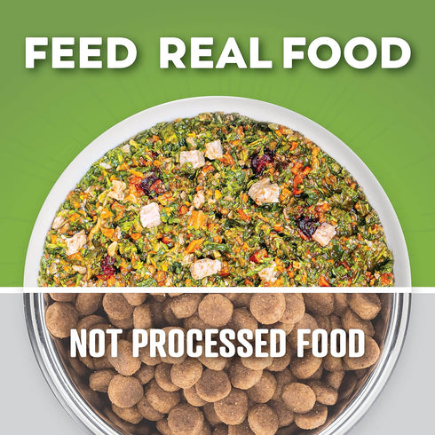 Dr. Harvey's Chicken & Garden Veggies Dog Food, Human Grade Grain-Free Dehydrated Food for Dogs with Freeze-Dried Chicken, Trial Size (5.5 Oz)...