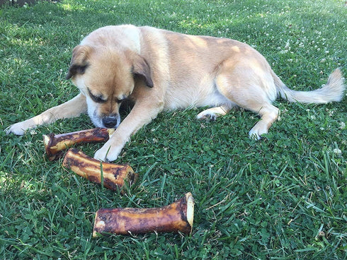 EcoKind Pet Treats Stuffed Shin Bone Premium Dog Treat...