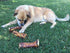 EcoKind Pet Treats Stuffed Shin Bone Premium Dog Treat...