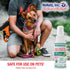 No Mosquitoz Botanical Bug Repellent, Effective for Gnat, Mosquito, and Biting Flies, Hand-Crafted and DEET-Free, Non-Greasy Formula, 2 Ounce Spra...