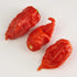 Bertie's Trinidad Scorpion Pepper Sauce (10 Oz/300ml) | Strong Flavour And Insane Heat...