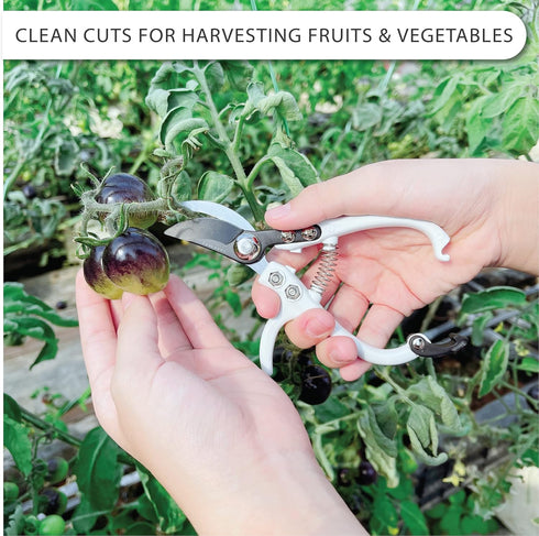 Bypass Pruning Shears Hand Pruner Garden Trimming Scissors Plant Trimmers Herb Snips Flower Clippers Ergonomic Handle Modern Garden Tools...