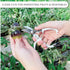 Bypass Pruning Shears Hand Pruner Garden Trimming Scissors Plant Trimmers Herb Snips Flower Clippers Ergonomic Handle Modern Garden Tools...