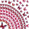 Amaonm® 60 Pcs 5 Packages Beautiful 3D Butterfly Wall Decals Removable DIY Home Decorations Art Decor Wall Stickers & Murals for Babys Bedroom Tv ...
