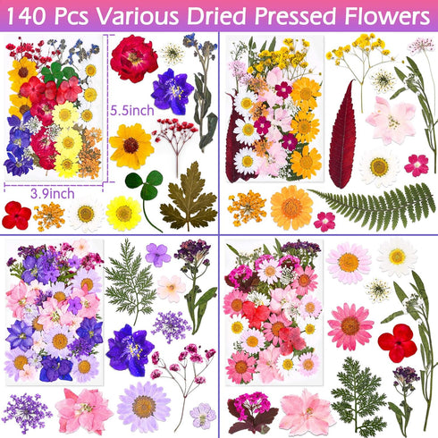 140 Pcs Dried Pressed Flowers for Resin, Real Pressed Flowers Dry Leaves Bulk Natural Herbs Kit for Scrapbooking DIY Art Crafts, Epoxy Resin Jewel...