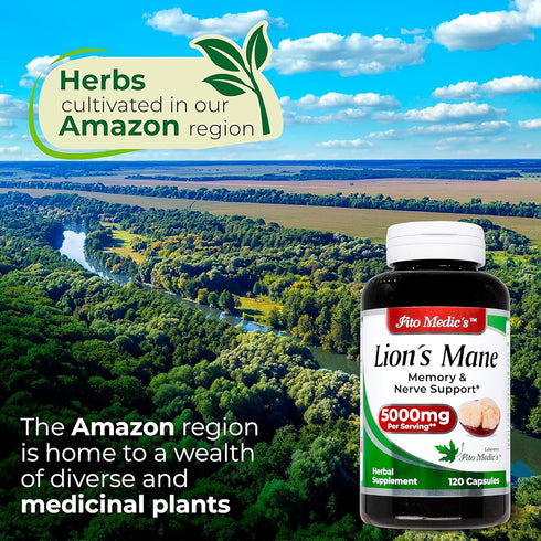 Lab | Lions Mane | 120 Capsules | Lions Mane Supplement | Lions Mane Supplement Capsules | Mushroom Supplement | Ultra high Absorption....