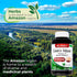 Lab | Lions Mane | 120 Capsules | Lions Mane Supplement | Lions Mane Supplement Capsules | Mushroom Supplement | Ultra high Absorption....