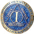 1 Year AA Medallion Reflex Blue Glitter Gold Plated Color Chip...