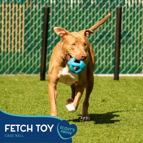 Good Scout Cage Ball Dog Fetch Toy, Indoor and Outdoor Rubber Dog Toy for Medium and Large Dogs...