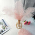 Piokio 20 pcs Natural Light Pink Ostrich Feathers 12-14 inch(30-35 cm) Bulk for Wedding Party Centerpieces and DIY Clothes Decoration, Gatsby Deco...