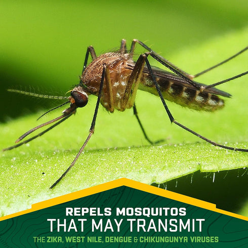 Repel Plant-Based Lemon Eucalyptus Insect Repellent, Mosquito Repellent, Pump Spray, 4 Ounce, (Pack of 2)...