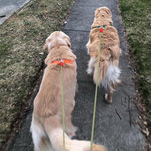 YAODHAOD Long Rope Dog Leash for Dog Training Leash,9.8FT/12.4FT/32.8FT Threads Check Cord Dog Leash,Pet Training Tracking Line Leash for Outside,...