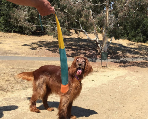 Foxtail Fetch Ball for Dogs - Easy to Throw Dog Fetch Toy by Cassidy Labs...