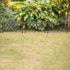 Plastic Garden Edging Border Fence, Flower Bed Barrier, Set of 3, Black...