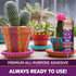 Aleene's 33143 Original Tacky Always Ready Adhesives, 4 oz....
